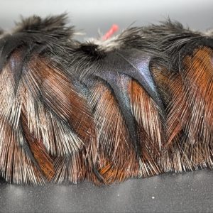 Pelles de coq Pardo - RUBION
