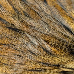 Pelles de coq Pardo - FlOR DE ESCOBA